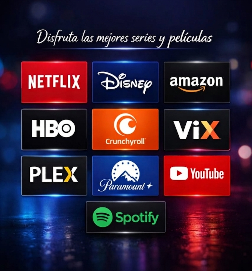 Netflix Premium – 1 Mes – Perfil Privado Slide 1