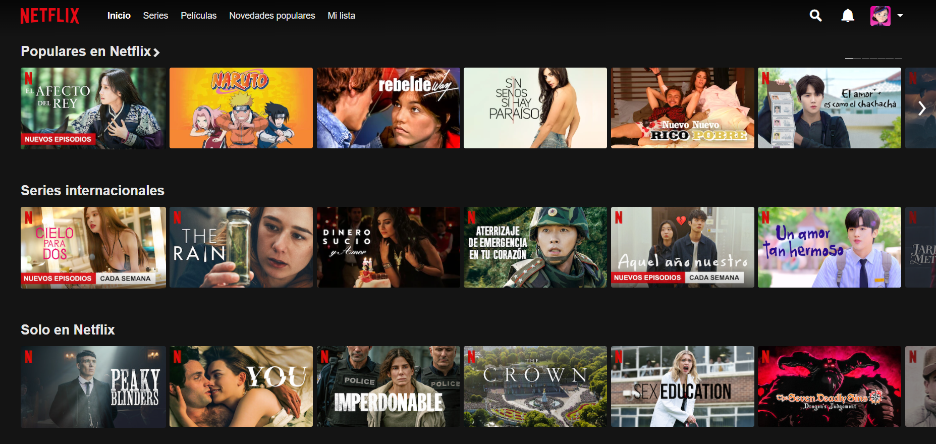NETFLIX PREMIUM Slide 1