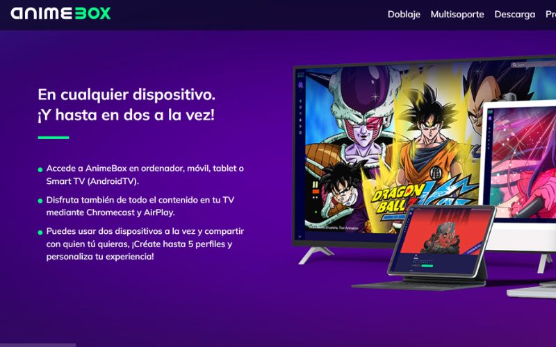 categoria-35-1b6064ab-2b43-408a-aa90-742025ae25d9.jpg