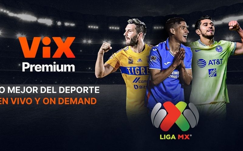 categoria-38-376a2af3-bef6-40d6-b4f9-866ff3c49f18.jpg