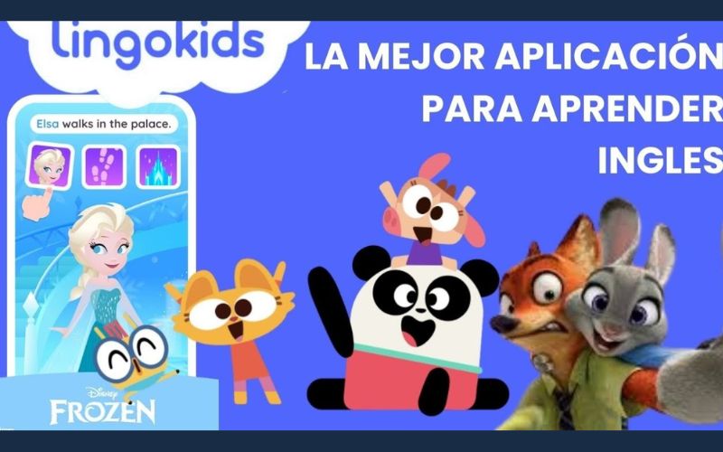 categoria-61-e43215ed-538d-4a94-9c6e-b79e055ec3bb.jpg